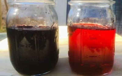 Lequel est le meilleur ? Rince-transmission vs Changement de fluide