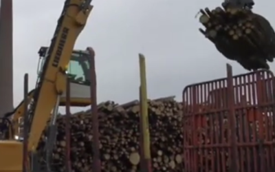Témoignage forestier : 450 $ d&rsquo;économies en 3 mois grâce à AMSOIL sur une chargeuse Liebherr