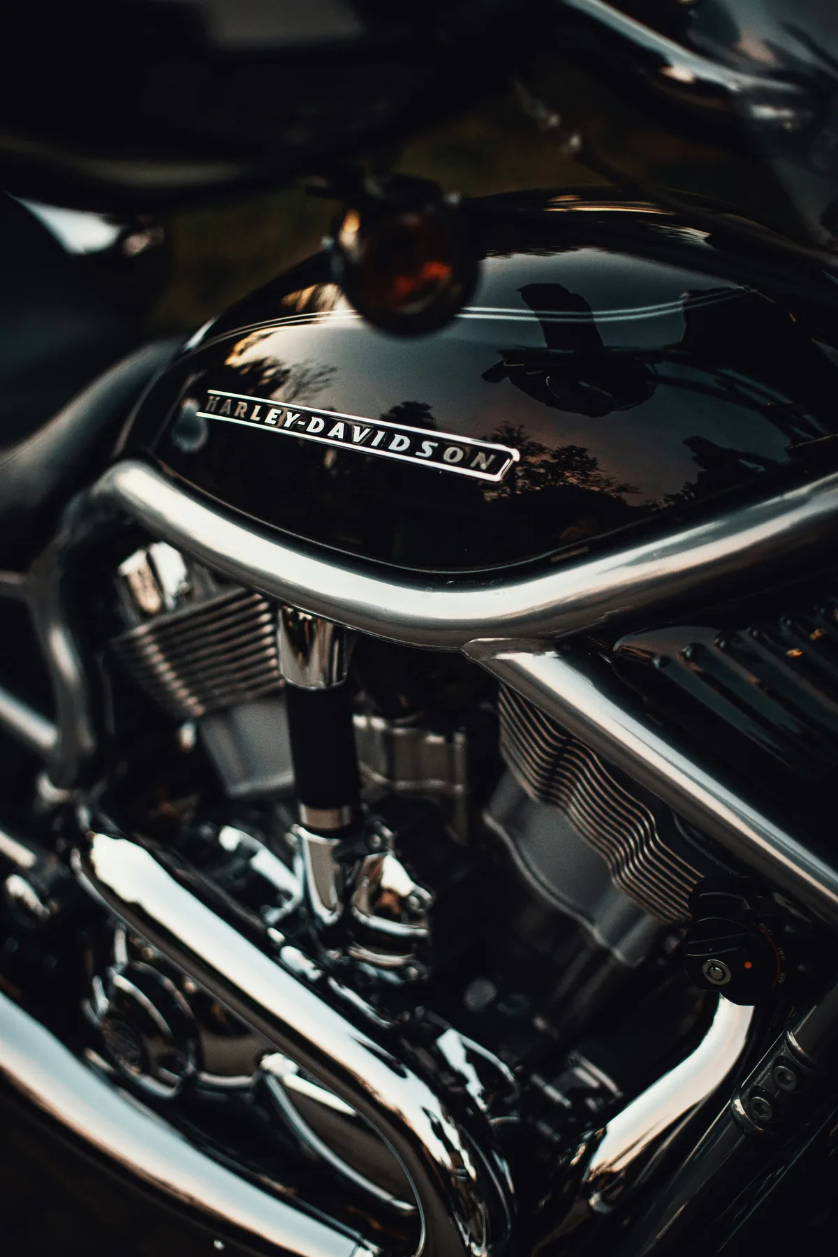 Moteur V-Twin Harley-Davidson en gros plan
